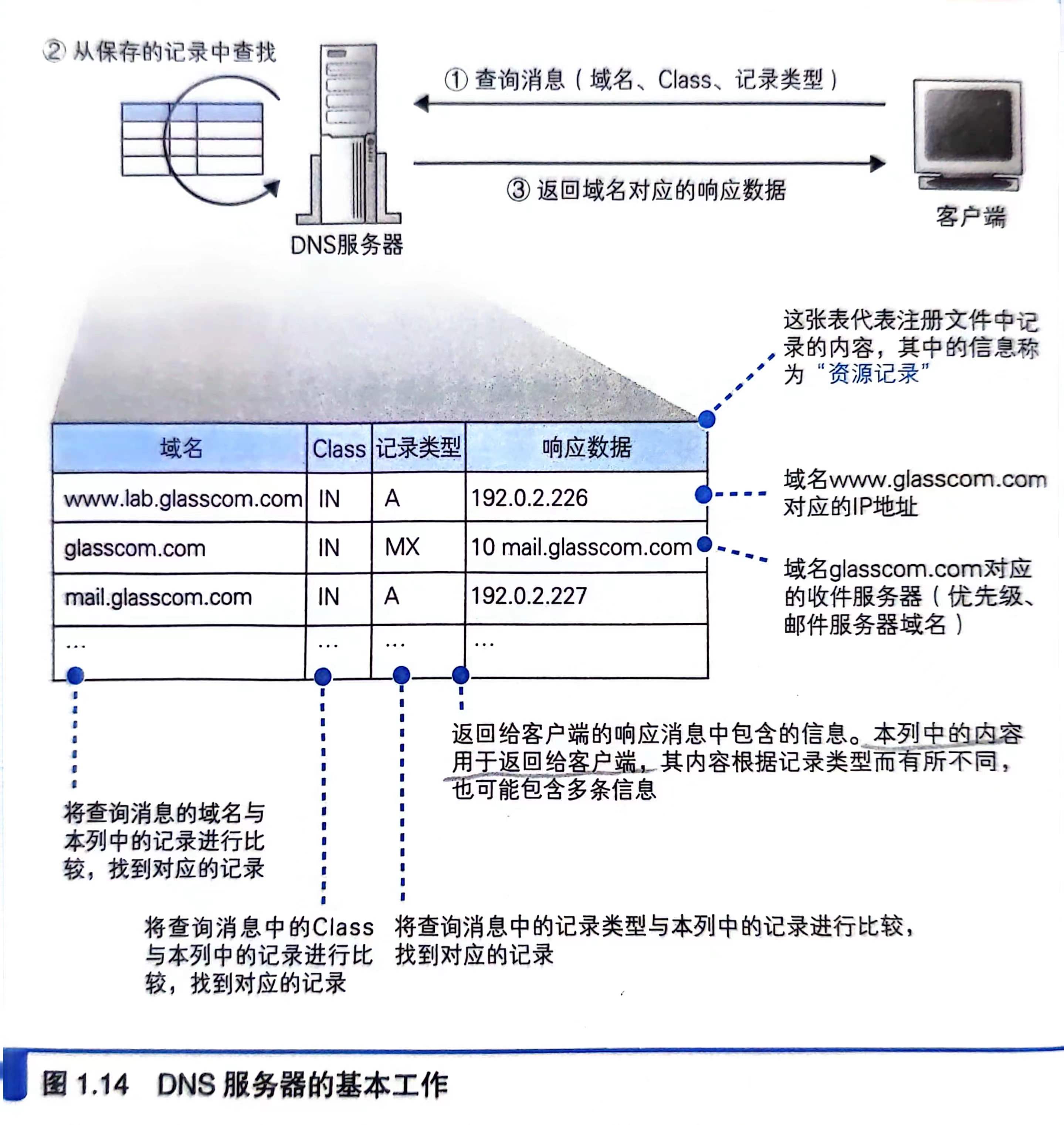 解析器与DNS服务器交互