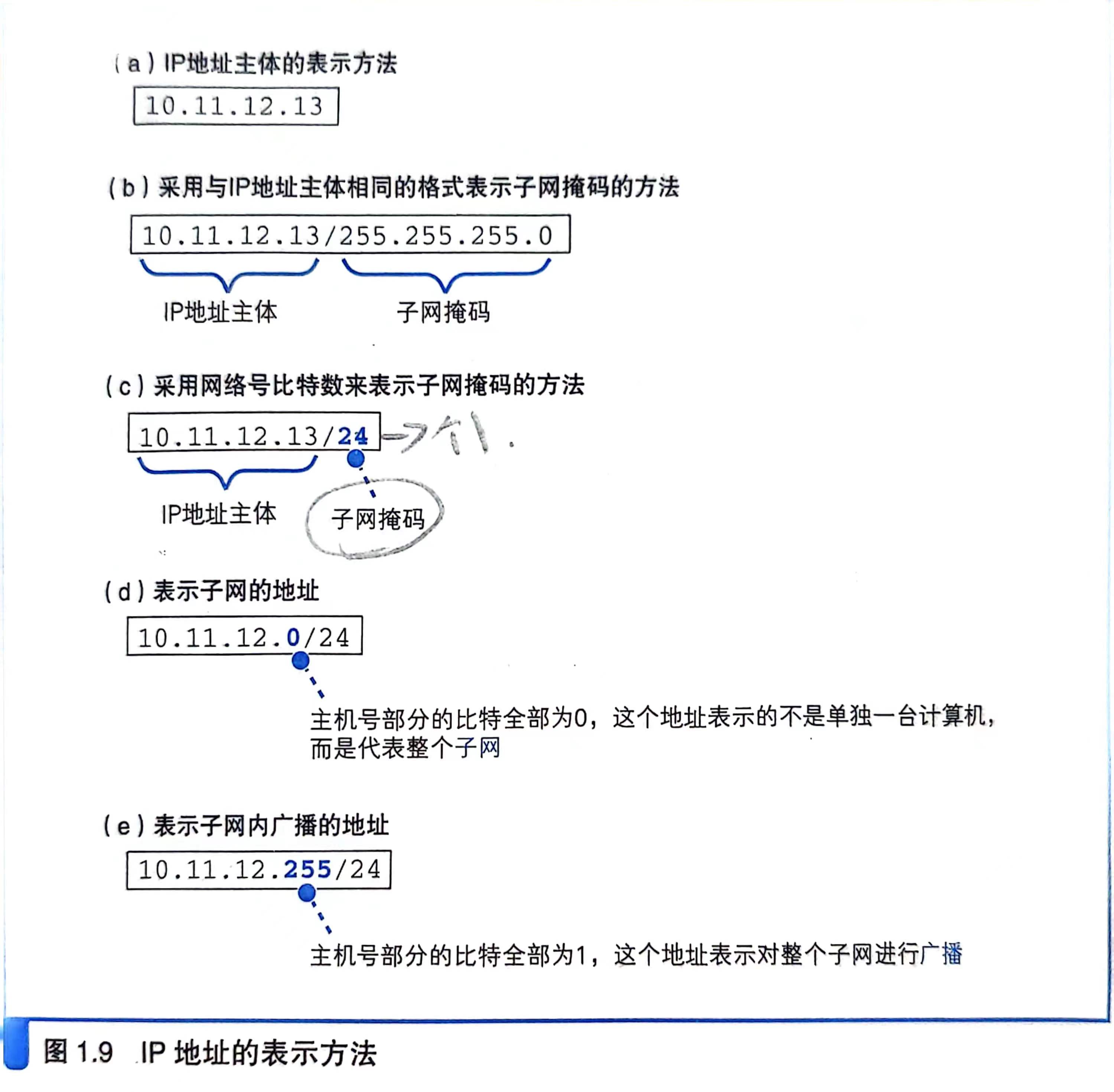 IP地址的表示方法
